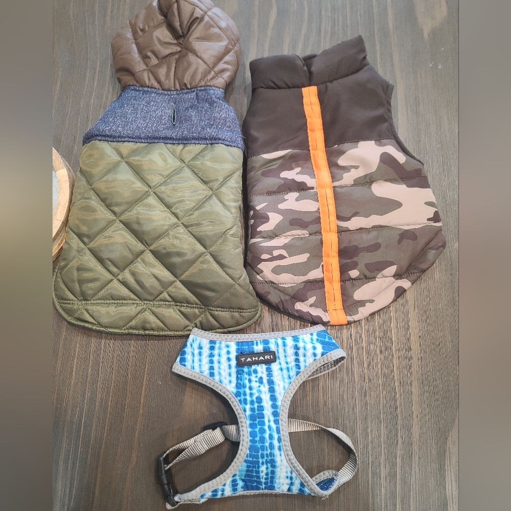 Camouflage Dog Jacket with Orange Stripe